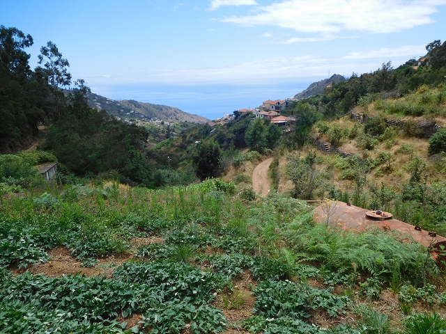 30 July 2015 Calhau da Lapa — On the Levada do Norte — photo 32