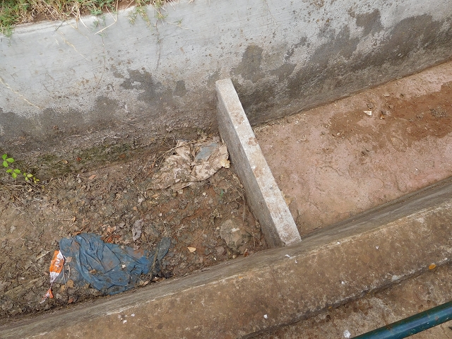 30 July 2015 Calhau da Lapa — On the Levada do Norte — photo 33