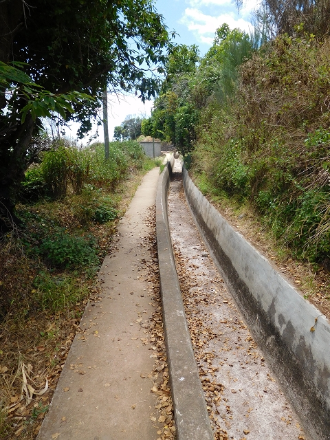 30 July 2015 Calhau da Lapa — On the Levada do Norte — photo 35