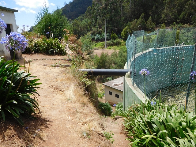 30 July 2015 Calhau da Lapa — On the Levada do Norte — photo 40
