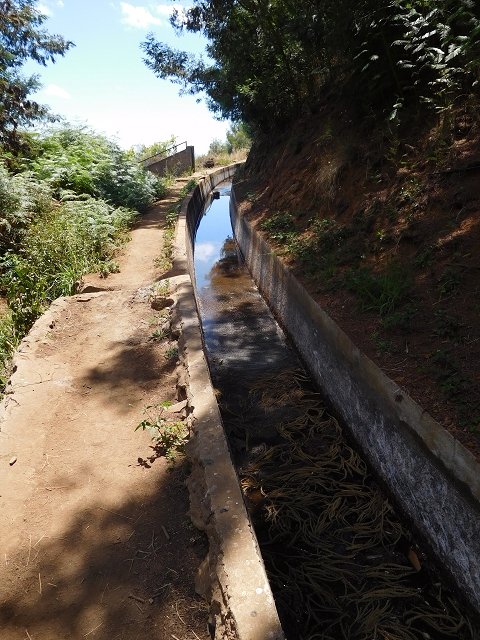 30 July 2015 Calhau da Lapa — On the Levada do Norte — photo 48