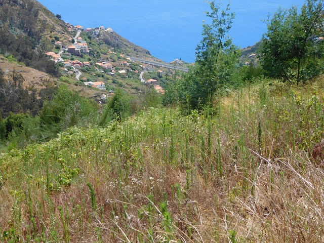 30 July 2015 Calhau da Lapa — On the Levada do Norte — photo 49