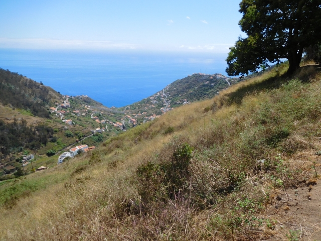 30 July 2015 Calhau da Lapa — On the Levada do Norte — photo 51