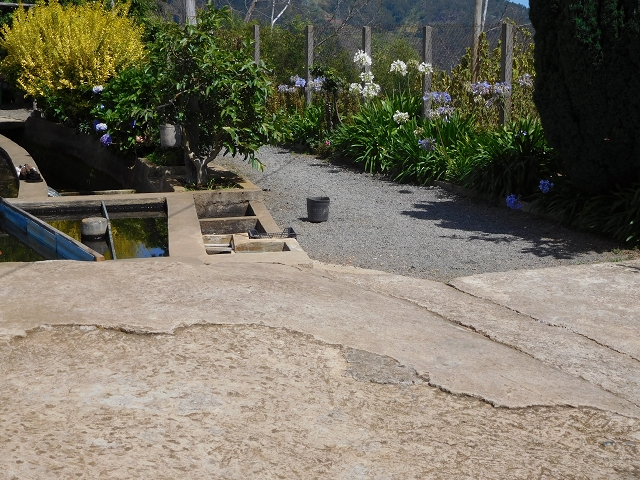 30 July 2015 Calhau da Lapa — On the Levada do Norte — photo 57