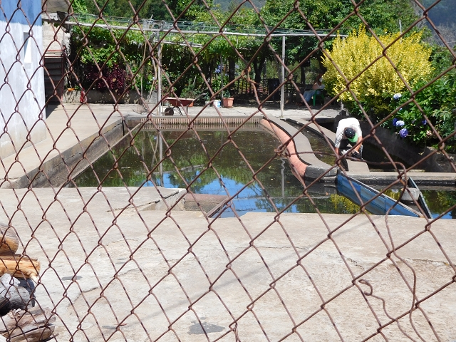 30 July 2015 Calhau da Lapa — On the Levada do Norte — photo 58