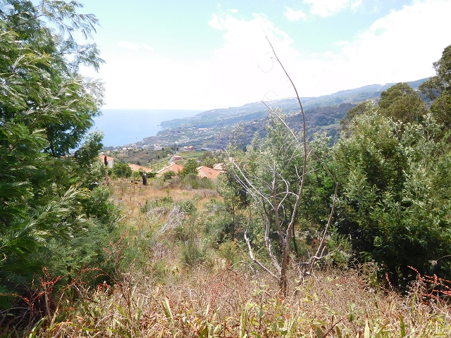 30 July 2015 Calhau da Lapa — Descent to Campanario — photo 3