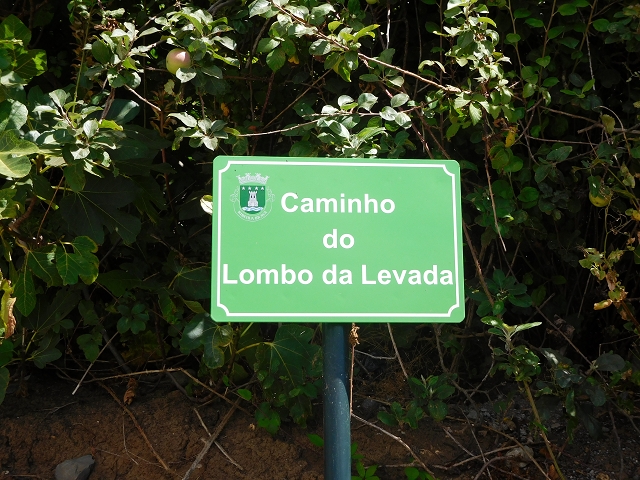 30 July 2015 Calhau da Lapa — Descent to Campanario — photo 7