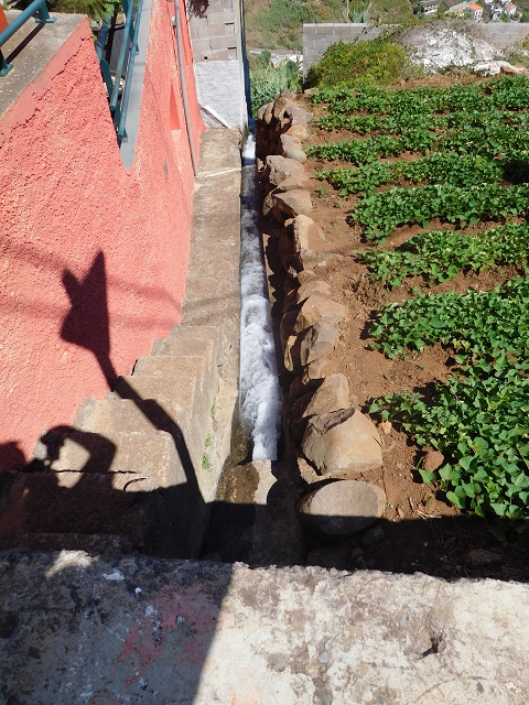 30 July 2015 Calhau da Lapa — Descent to Campanario — photo 8