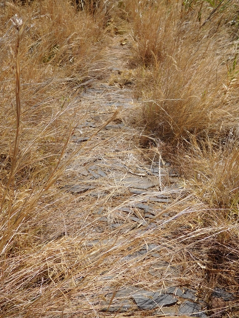 30 July 2015 Calhau da Lapa — Descent to Calhau da Lapa — photo 6