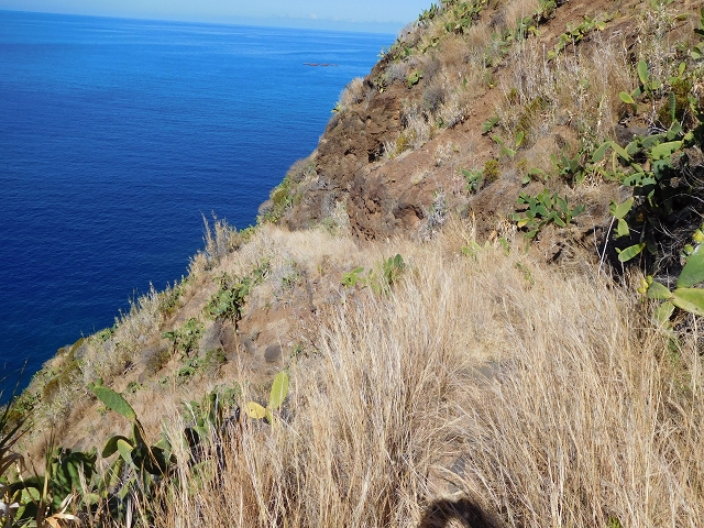 30 July 2015 Calhau da Lapa — Descent to Calhau da Lapa — photo 10