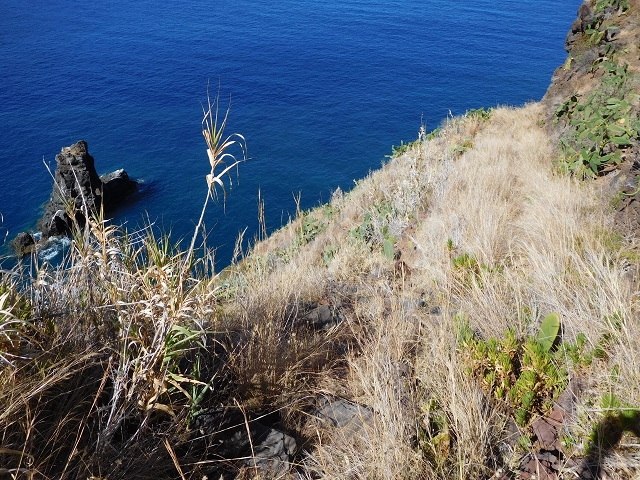 30 July 2015 Calhau da Lapa — Descent to Calhau da Lapa — photo 12