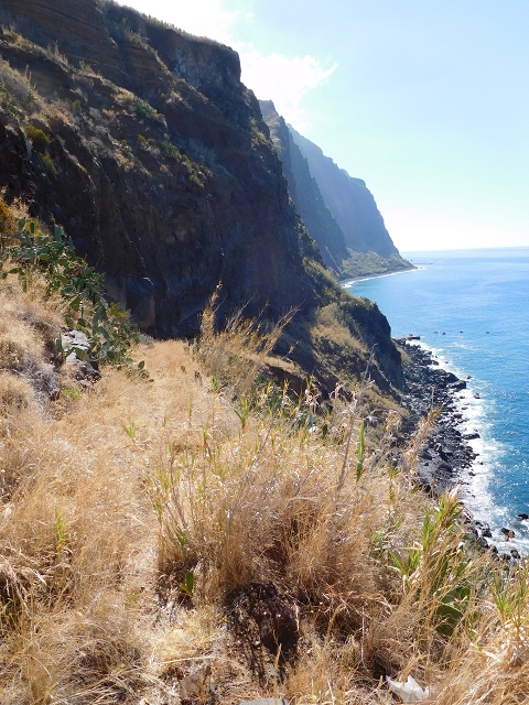30 July 2015 Calhau da Lapa — Descent to Calhau da Lapa — photo 13