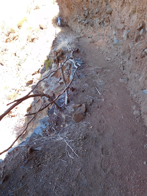30 July 2015 Calhau da Lapa — Descent to Calhau da Lapa — photo 18