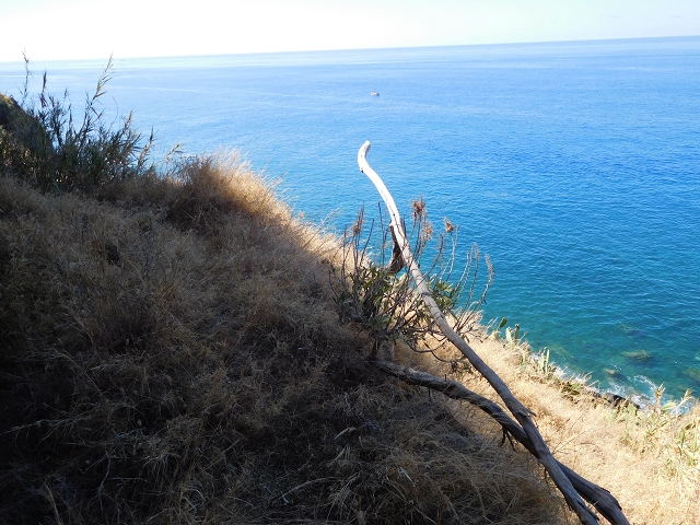 30 July 2015 Calhau da Lapa — Descent to Calhau da Lapa — photo 19