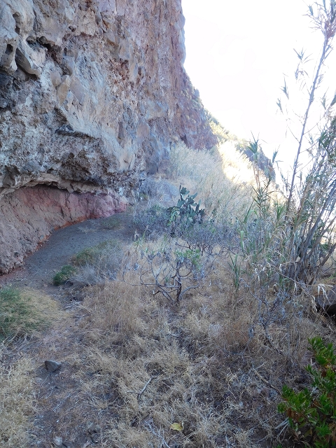 30 July 2015 Calhau da Lapa — Descent to Calhau da Lapa — photo 20