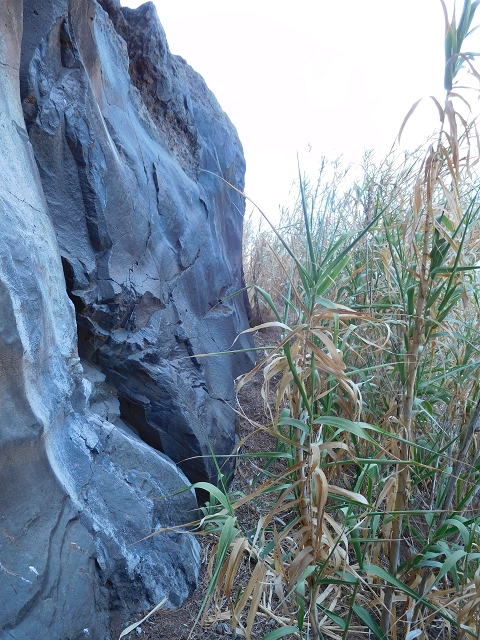 30 July 2015 Calhau da Lapa — Descent to Calhau da Lapa — photo 21
