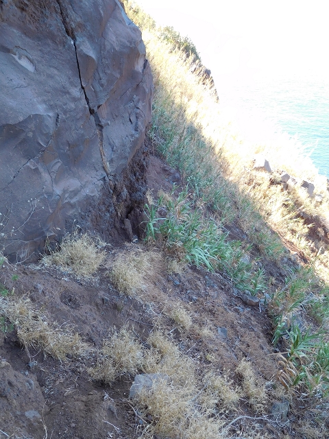 30 July 2015 Calhau da Lapa — Descent to Calhau da Lapa — photo 22