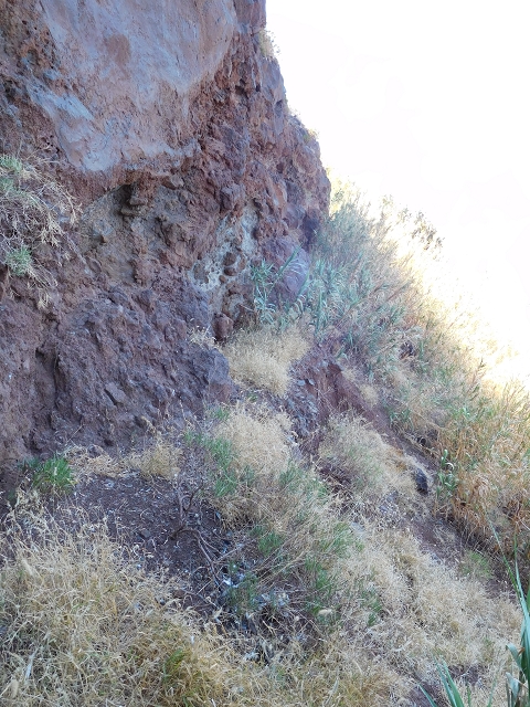 30 July 2015 Calhau da Lapa — Descent to Calhau da Lapa — photo 23