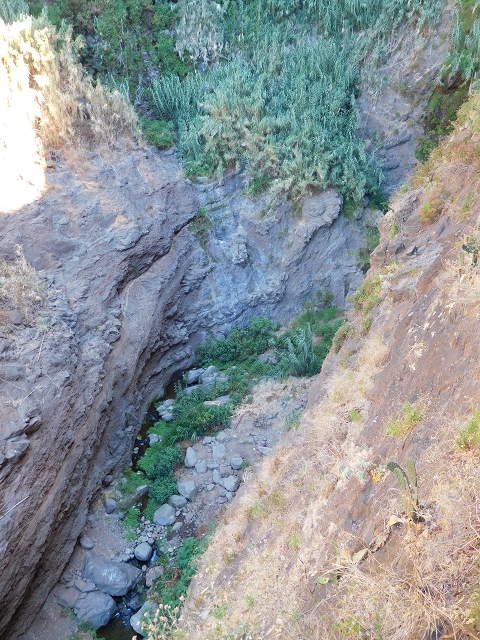30 July 2015 Calhau da Lapa — Ascent on the usual path — photo 6