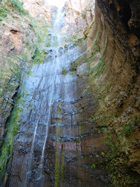 30 July 2015 Calhau da Lapa — Calhau da Lapa — photo 12
