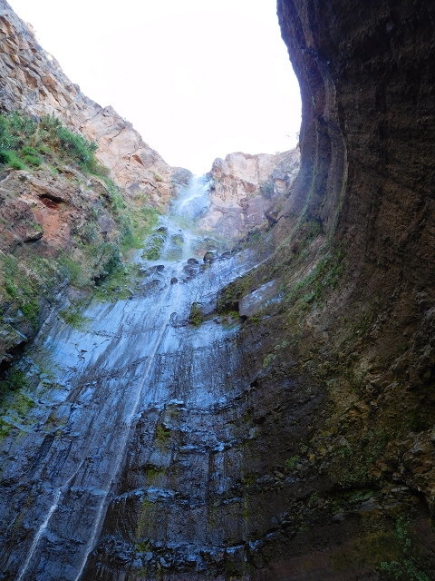 30 July 2015 Calhau da Lapa — Calhau da Lapa — photo 15