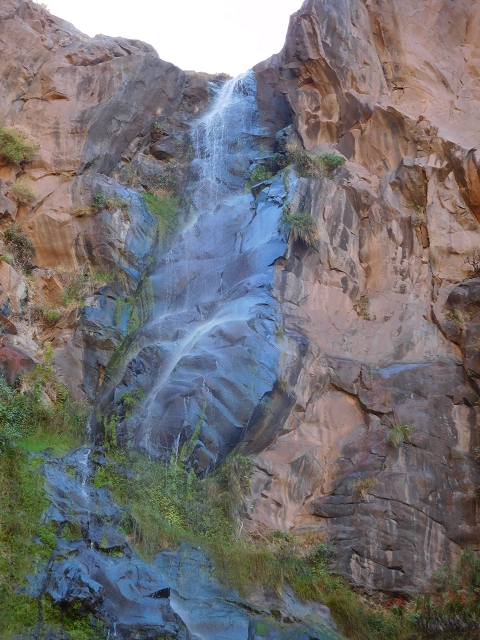 30 July 2015 Calhau da Lapa — Calhau da Lapa — photo 17