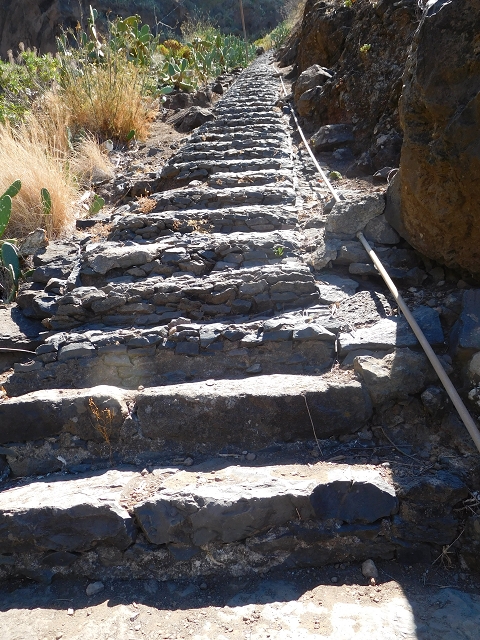 30 July 2015 Calhau da Lapa — Ascent on the usual path — photo 7