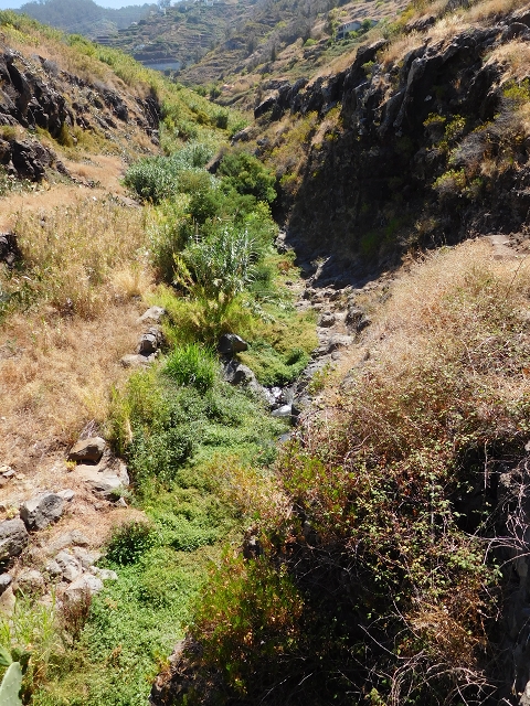 30 July 2015 Calhau da Lapa — Ascent on the usual path — photo 16