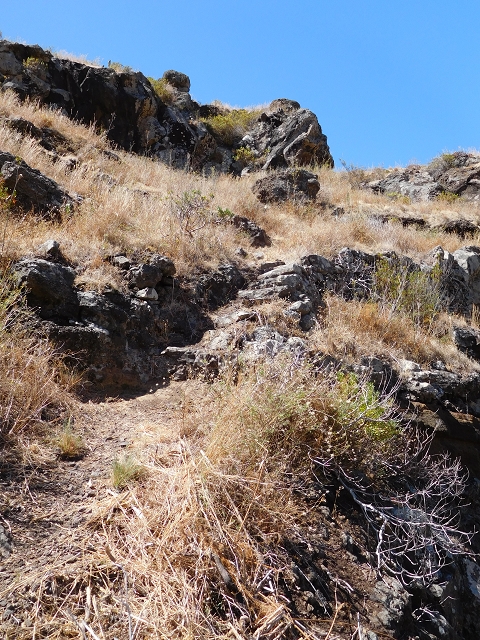 30 July 2015 Calhau da Lapa — Ascent along the cliff — photo 1
