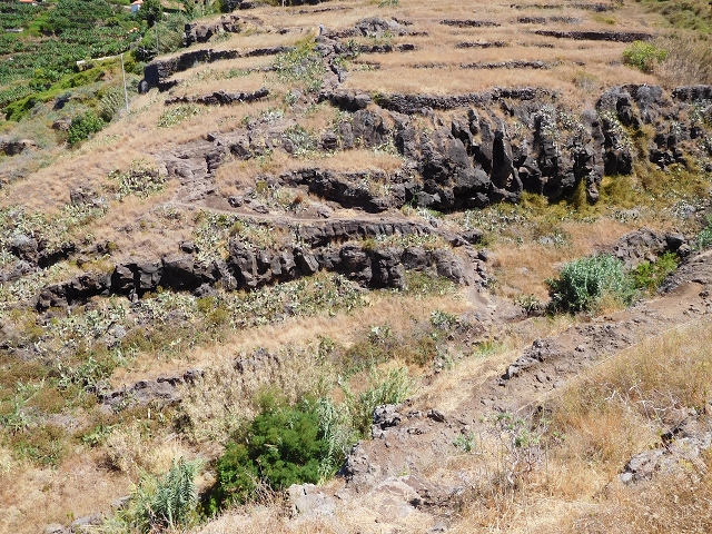 30 July 2015 Calhau da Lapa — Ascent along the cliff — photo 3