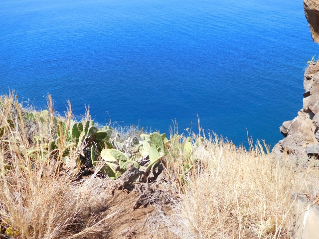 30 July 2015 Calhau da Lapa — Ascent along the cliff — photo 6