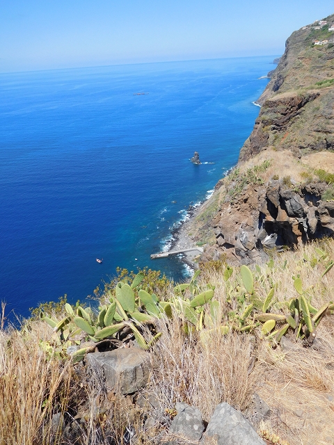 30 July 2015 Calhau da Lapa — Ascent along the cliff — photo 7
