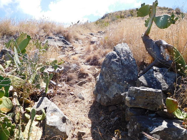 30 July 2015 Calhau da Lapa — Ascent along the cliff — photo 8