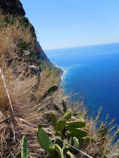 30 July 2015 Calhau da Lapa — Ascent along the cliff — photo 9