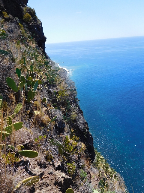 30 July 2015 Calhau da Lapa — Ascent along the cliff — photo 10