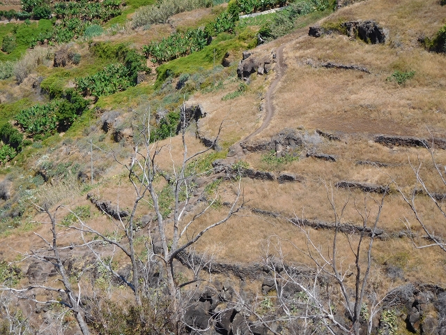 30 July 2015 Calhau da Lapa — Ascent along the cliff — photo 11