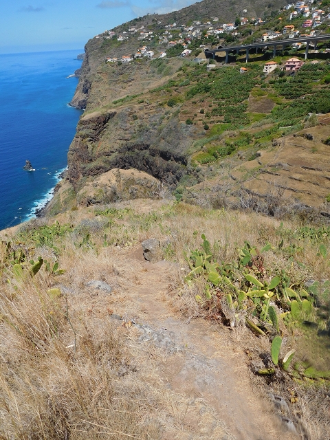 30 July 2015 Calhau da Lapa — Ascent along the cliff — photo 13