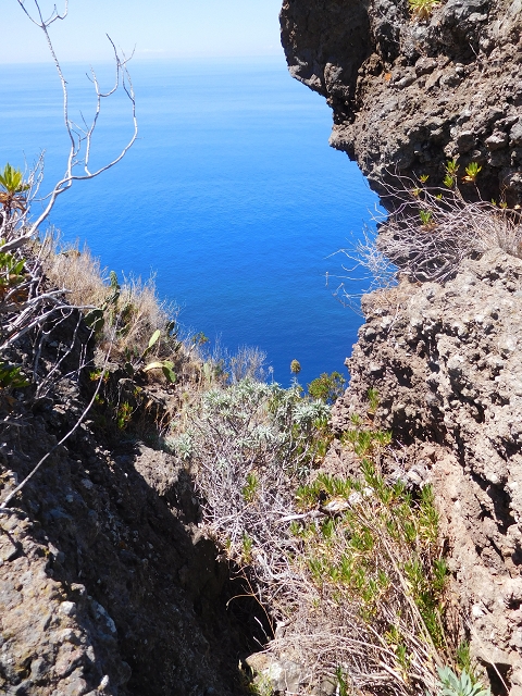 30 July 2015 Calhau da Lapa — Ascent along the cliff — photo 14