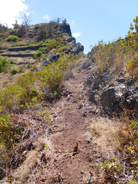 30 July 2015 Calhau da Lapa — Ascent along the cliff — photo 15