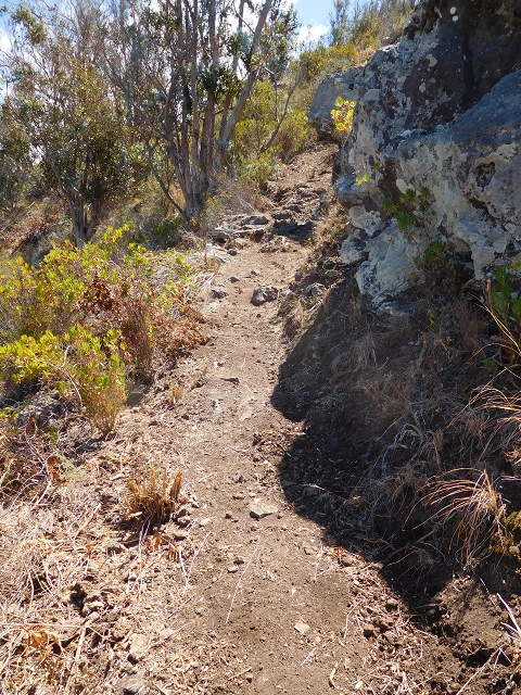 30 July 2015 Calhau da Lapa — Ascent along the cliff — photo 18
