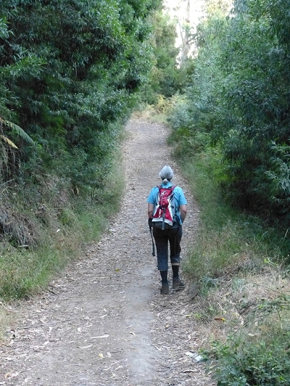 31 de julho de 2012 Rabacal — Até ao túnel do cavaleiro — foto 1