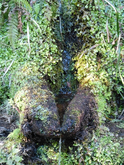31 de julho de 2012 Rabacal — Até à cascata do Risco — foto 5