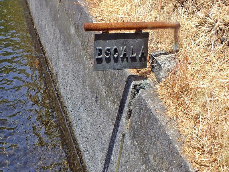Levada Vinte e Cinco Fontes — Até à Camara de Carga da Levada Vinte e Cinco Fontes — foto 5
