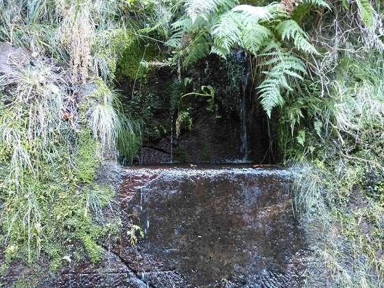 31 de julho de 2012 Rabacal — Até à cascata do Risco — foto 9