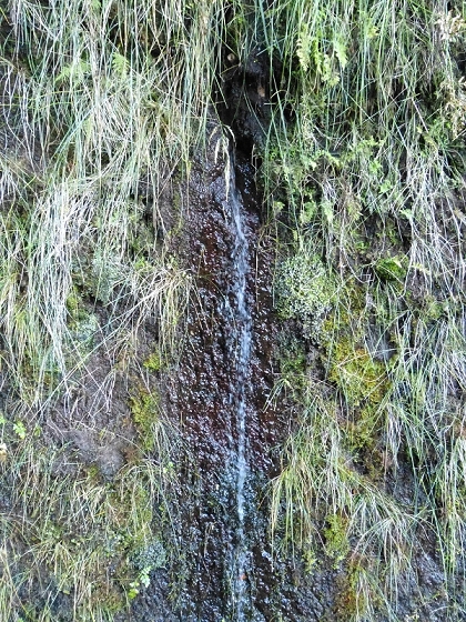 31 de julho de 2012 Rabacal — Até à cascata do Risco — foto 12