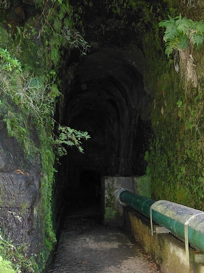 31 de julho de 2012 Rabacal — Até ao túnel do cavaleiro — foto 3