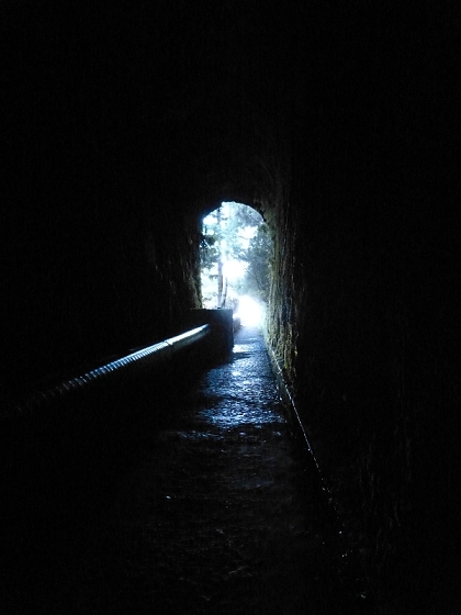 31 de julho de 2012 Rabacal — Até ao túnel do cavaleiro — foto 4