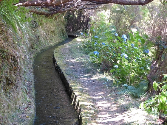 31 de julho de 2012 Rabacal — Até à Levada da Rocha Vermelha — foto 3