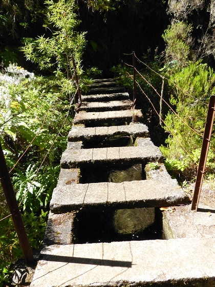 31 de julho de 2012 Rabacal — Até à Levada da Rocha Vermelha — foto 6