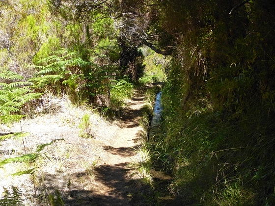 31 de julho de 2012 Rabacal — Até à Levada da Rocha Vermelha — foto 8